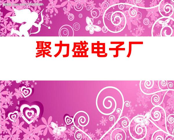 聚力盛电子厂